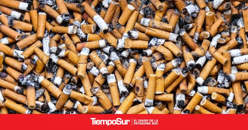 Proponen multar a los que arrojen colillas de cigarrillos en la vía pública