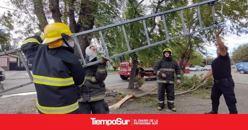 Emergencia Clim Tica Voladuras De Techos Cables Y Ca Da De Rboles En