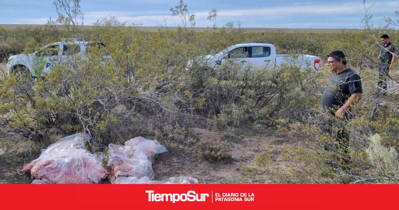 Barrera Sanitaria Patag Nica Detectan Mercader A No Apta Para El Consumo