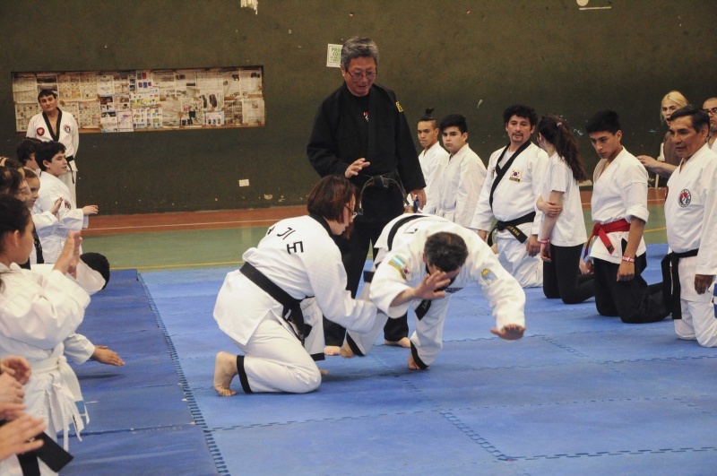 El Hapkido, a full en el 17 de octubre. 