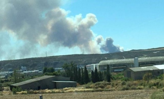 300 Hectáreas afectadas por incendio en San Gregorio