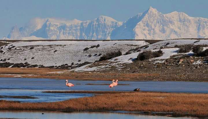 Parque Nacional Patagonia: Tierra “donada”