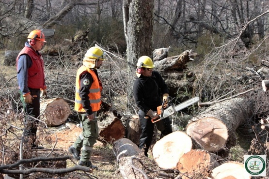 Avanza el programa de fortalecimiento de las brigadas de incendios