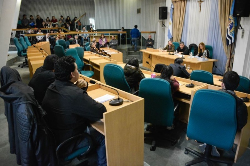 Actividad en la Cámara de Diputados,. 