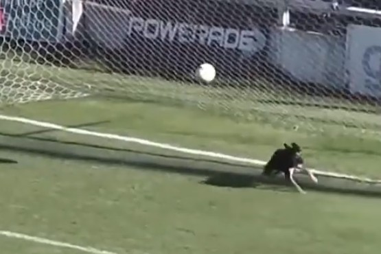 El perro que evitó un gol en el Torneo Federal