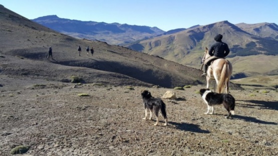 Fue encontrado cerca de Calafate. 