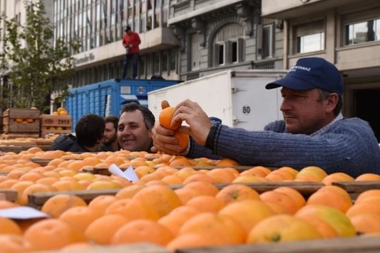 Productores regalan 20 mil kilos de frutas y verduras en Plaza de Mayo
