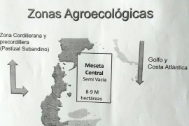 Doce millones las hectáreas sin producción en Santa Cruz