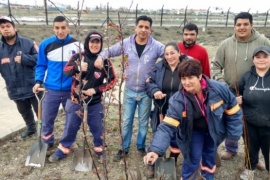 SOEM realizó campaña de forestación