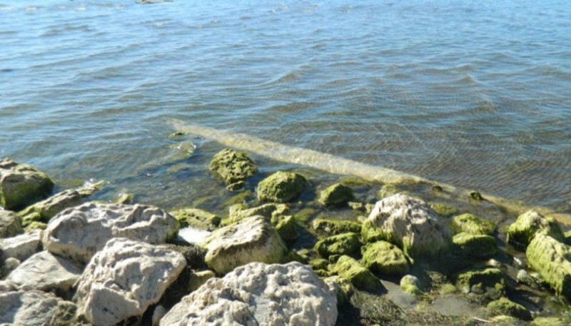 Traza del Lago Musters. (El Patagónico)