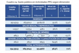 Se ejecutó solo el 7,9% de todo el presupuesto contra la Violencia de Género