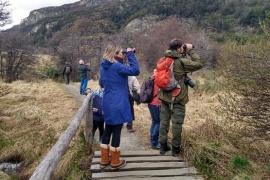 Día Mundial de Observación de Aves