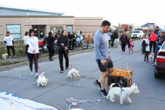 Gómez Bull también llevó sus perritos.