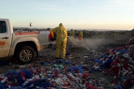 Realizan fumigación en el Vaciadero municipal para combatir las moscas