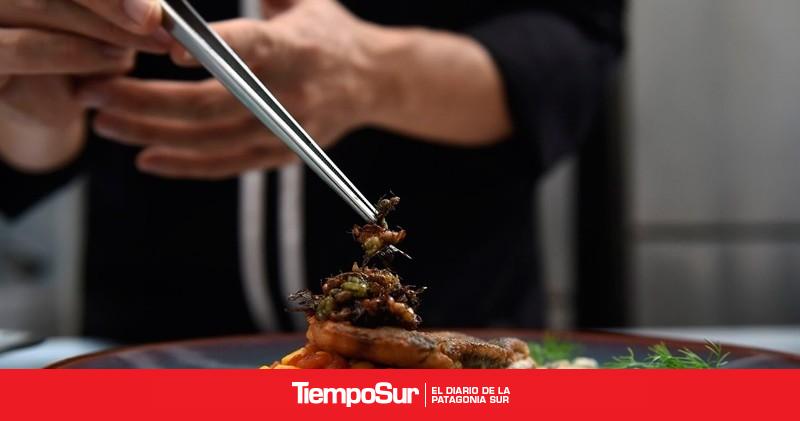 Estas Son Las Tendencias Gastronómicas Para El 2020