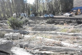 La FIAS reclama que se apruebe el proyecto que pone límites a la compra de tierras