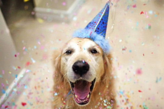 Cumpleaños de perro. (Pinterest)