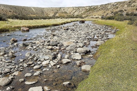 El río Vizcachas es el que ponen de ejemplo los pescadores. (Ilustrativa). 