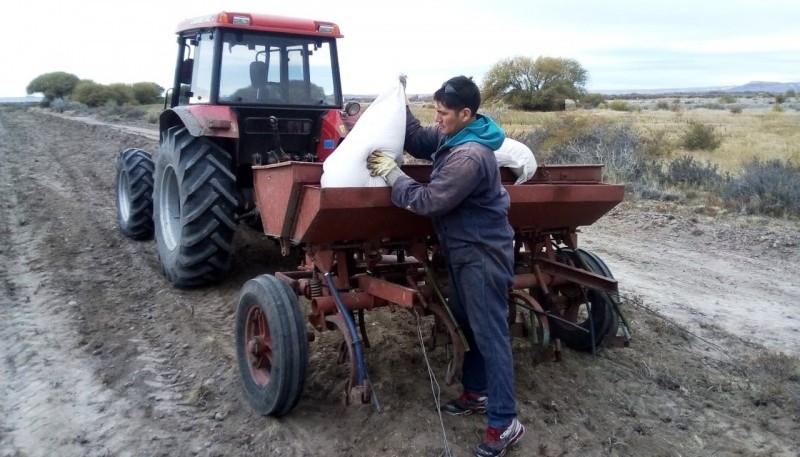 Recorrieron el predio donde se nivelaron 1,5 hectáreas para siembra de pastura y maíz