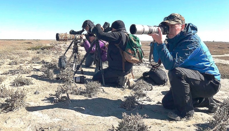 Observación de aves en el estuario.   