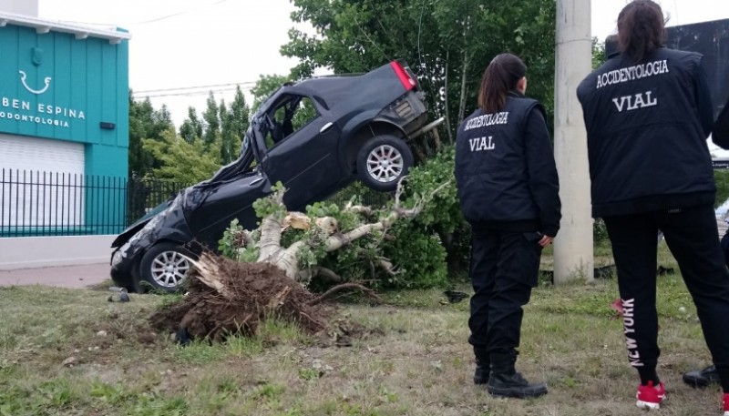 El vehículo sobre el árbol (Foto J.C.C.)