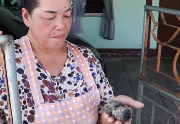 Chabaprai Nilpet con el gato de dos cabezas recién nacido en su mano. Foto: Captura de video