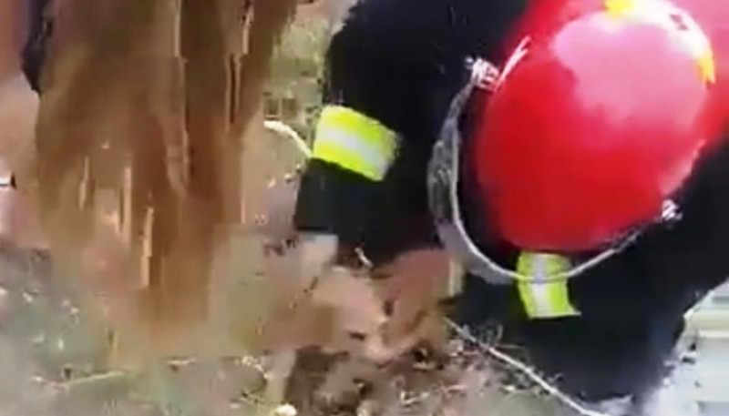 Bombero tras sacar al perro.