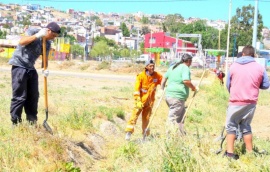 Trabajan en la limpieza de la Primera Laguna