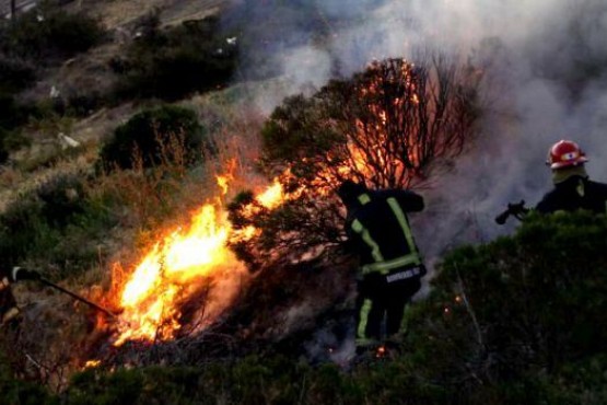 El fuego habría sido por los fuegos artificiales arrojados y cayeron al lugar. 