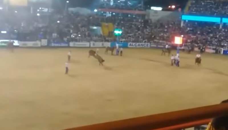 Cossutta en el momento que jineteaba el caballo. 