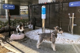 Aeropuerto inauguró baños para perros