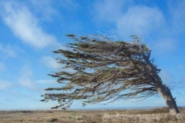 El viento en la Ciudad durará hasta la noche de este lunes