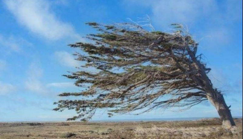 Viento en la ciudad.(Imagen de archivo)