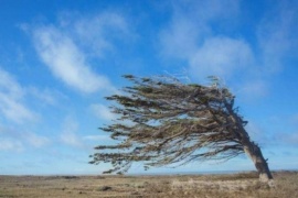 Alertas por vientos fuertes en Santa Cruz