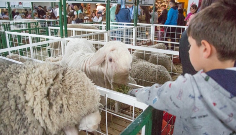 Ayer fue el último día de la feria más importante de la Patagonia. (Foto: C.G)