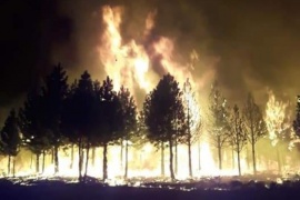 Se mantiene activo el incendio en Esquel