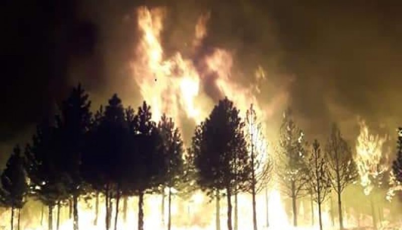 El incendio continuó durante la noche. 