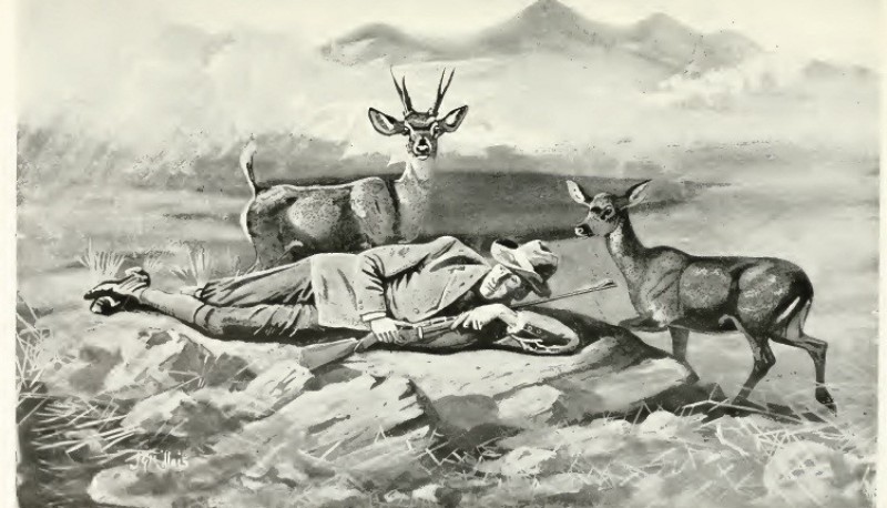 Dibujo de Prichard (1900) que ilustra la mansedumbre del huemul, una de las causas de su declinación temprana