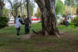 Un movimiento social se sumó a la desinfección y al cuidado de espacios verdes