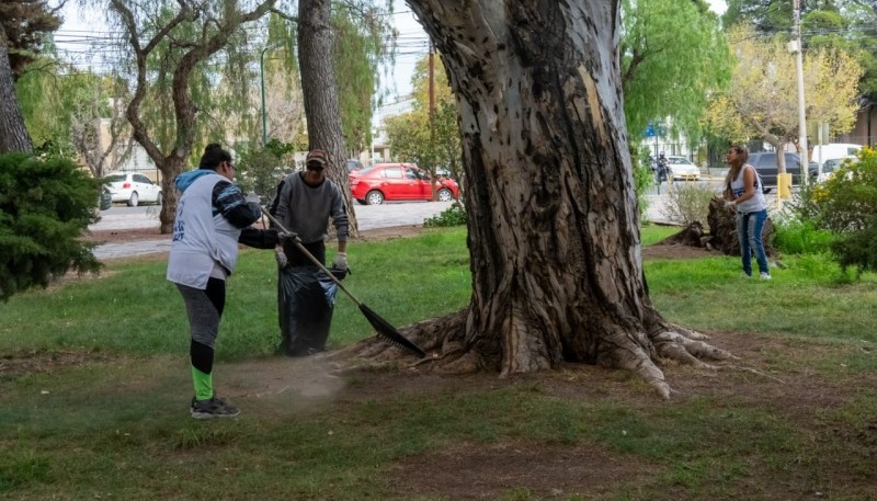 Desinfectan espacios verdes. 