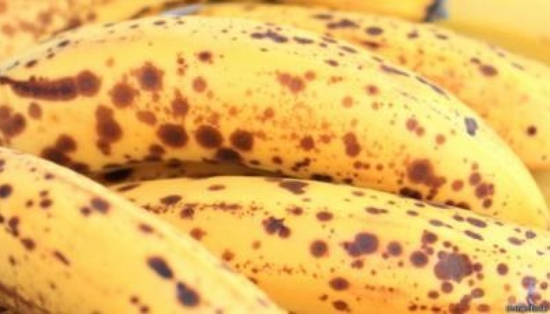 El sencillo truco para hacer que las bananas maduren más lento