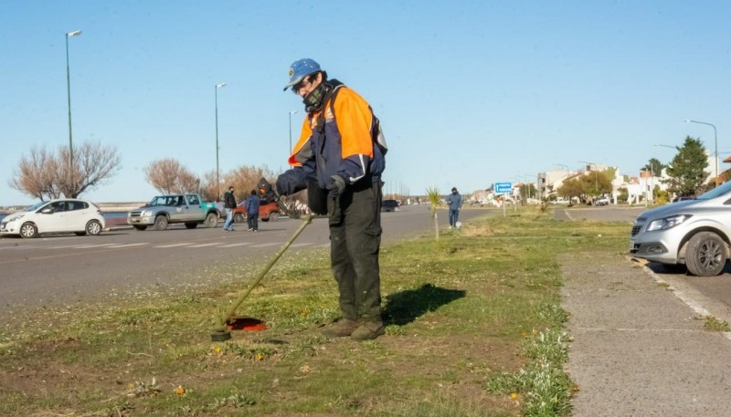 El municipio desplegó una logística de limpieza urbana y embellecimiento en el puerto