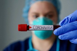 Coronavirus: Chubut Registra 252 casos positivos