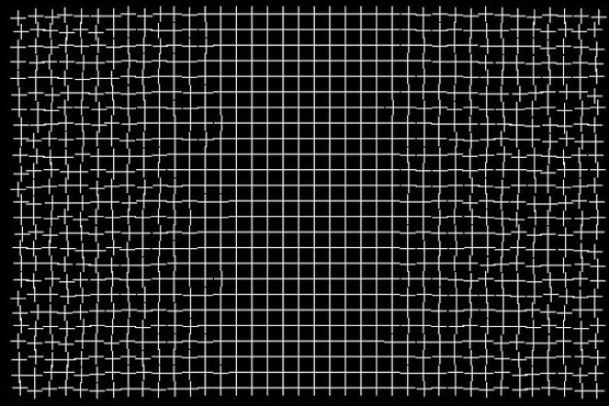 Impresionante ilusión óptica de una rejilla que se repara ante el ojo humano