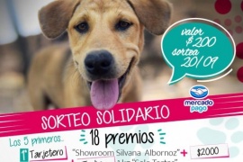 Sorteo solidario por los callejeritos