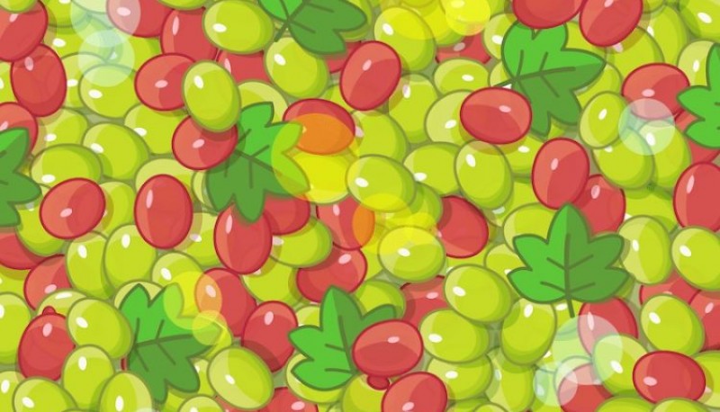 Reto visual: buscá las aceitunas escondidas entre las uvas