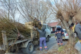 Municipio garantiza transitabilidad en vías de emergencia