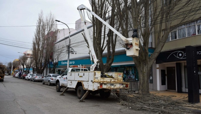 10 Acciones: Realizan importante operativo de poda en la avenida Kirchner