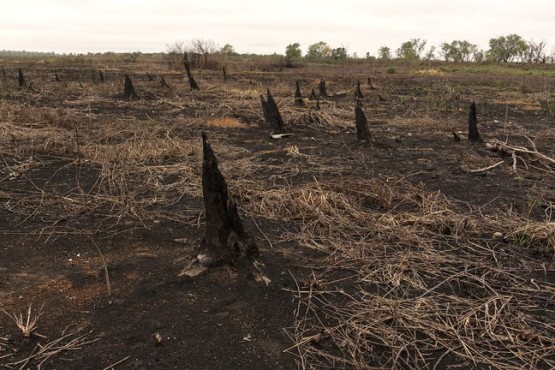 Llovió en Córdoba y se extinguieron los incendios en las sierras