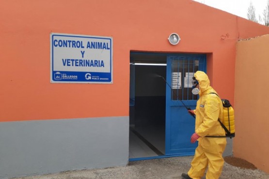 Realizaron labores de desinfección en las dependencias de Veterinaria y Control Animal 